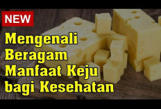 Manfaat Keju untuk Kesehatan, Mampu Menurunkan Tekanan Darah