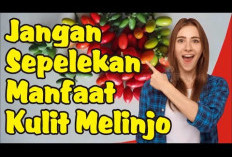 Manfaat Kulit Melinjo untuk Kesehatan yang Hanya Sedikit Diketahui Orang