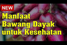 Manfaat Bawang Dayak untuk Kesehatan, Dapat Mencegah Infeksi Bakteri