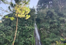 Jarang Ada yang Tahu! Hidden Gem di Petungkriyono, Curug Cantik di Bawah Karangsrity