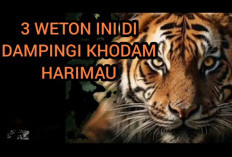 Ini Dia 2 Weton Sakti yang Disukai Khodam Harimau Sumatera menurut Primbon Jawa, Cek Khodam Kamu