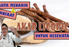 Ini 2 Manfaat Licorice yang Baik Untuk Kesehatan Tubuh, Apa Saja?