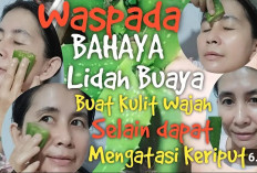 Manfaatnya Seperti Kelly dan Lovely, Inilah 4 Khasiat Lidah Buaya untuk Kulit Wajah