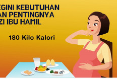 Ini Dia Macam-macam Nutrisi yang Dibutuhkan Ibu Hamil