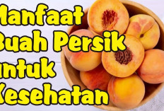 Inilah Manfaat Buah Persik untuk Kesehatan, Dapat Mengatasi dan Mencegah Berbagai Penyakit Kronis