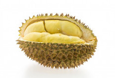 Raja Buah yang Lezat dan Berkhasiat! Inilah 5 Manfaat Buah Durian yang Harus Kamu Tahu