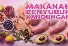 Inilah Makanan Penyubur Kandungan Agar Cepat Hamil