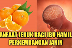 Berbagai Manfaat Jeruk untuk Ibu Hamil, Membantu Mencegah Cacat Lahir pada Anak