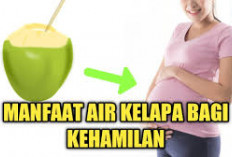 Manfaat Air Kelapa untuk Ibu Hamil, Ternyata Dapat Membantu Mengurangi Rasa Mual