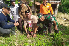 Kwarcab Kabupaten Pekalongan Tanam 1000 Pohon