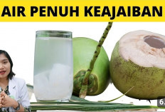 Khasiat air Kelapa Muda Wulung yang Bagus untuk Kesehatan Tubuh