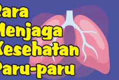 Inilah Cara Menjaga Kesehatan Paru-paru, Salah Satunya Minum Air Putih Secara Teratur