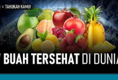 Inilah Buah Tersehat untuk Dikonsumsi Sehari-Hari