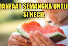 Manfaat Semangka untuk Ibu Menyusui, Dapat Meredakan Kram dan Nyeri