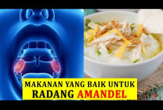 7 Makanan Aman dan Sehat untuk Penderita Amandel, Ada Telur, Madu Hingga Sup Ayam