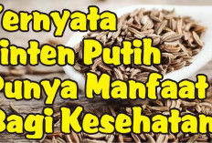 Manfaat Jinten Putih untuk Kesehatan, Dapat Menurunkan Kadar Kolesterol