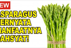 Dapat Mencegah Pertumbuhan Sel Kanker, Inilah Manfaat Asparagus untuk Kesehatan Tubuh