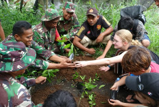 TNI Semaikan Benih Mangrove