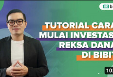 Begini 5 Cara Mudah Memulai Investasi di Bibit, Aman dan Selalu Cuan!