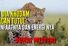 Mau Tahu 2 Weton Sakti yang Disukai Khodam Macan Tutul menurut Primbon Jawa? Cek Khodam Kamu