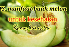 Berikut Khasiat Baik Buah Melon bagi Kesehatan Tubuh yang Jarang Diketahui, Apa Saja?