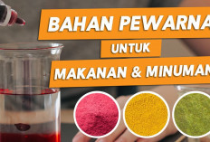 Inilah Macam-macam Pewarna Alami yang Aman Digunakan