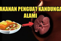 Makanan Penguat Kandungan untuk Menjaga Kesehatan Kehamilan Sebelum Melahirkan