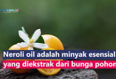 Manfaat Minyak Neroli untuk Kesehatan dan Kecantikan