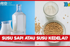 Ini Dia Kelebihan Susu Kedelai Dibandingkan Dengan Susu Sapi