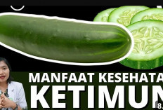 Manfaat Mentimun Buat Kesehatan Tubuh, kaya akan Nutrisi dan Tinggi Vitamin