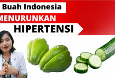 Daftar Buah Penurun Tensi yang Wajib Dikonsumsi