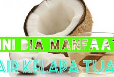 Manfaat Air Kelapa Tua untuk Kesehatan Tubuh