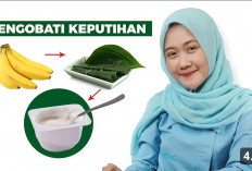 Sederet Asupan Makanan yang Mengatasi Keputihan, Yuk Simak Daftarnya Berikut ini