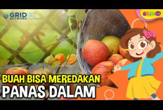 Inilah Dia Rekomendasi Buah untuk Panas Dalam yang Dapat Kamu Konsumsi, Dijamin Ampuh