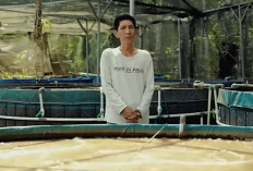 Bisnis Sampingan Budidaya Ikan Nila Belakang Rumah, Hasilnya Bisa untuk Cukupi Kebutuhan Hidup