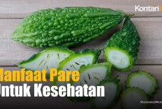 Pahit tapi Banyak Manfaat! Inilah 4 Khasiat Sayur Pare untuk Kesehatan Tubuh, Apa Saja?