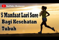 Ini Dia Manfaat Lari Sore Bagi Kesehatan Tubuh