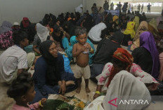 UNHCR Upayakan Penampungan Rohingya dalam Satu Lokasi di Aceh