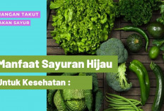 Inilah Manfaat Sayuran Hijau untuk Kesehatan, Dapat Mencegah Serangan Jantung Hingga Radang Sendi