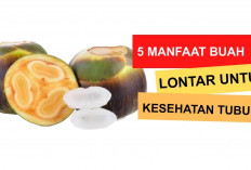 Inilah Manfaat Buah Lontar untuk Kesehatan 