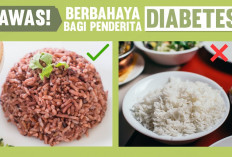 Inilah Makanan yang Baik Untuk Para Penderita Diabetes yang Harus Kamu Tahu, Apa Saja?