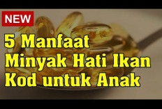 Manfaat Minyak Hati Ikan Kod untuk Anak