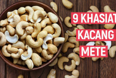 Manfaat Kacang Mete untuk Kesehatan yang Tidak Hanya Enak, Tetapi Juga Menyehatkan