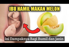 Ini Dia Manfaat Buah Melon untuk Ibu Hamil yang Wajib Ibu Ketahui