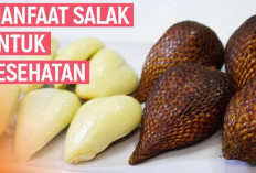 Apa Saja Manfaat Salak untuk Kesehatan? Salah Satunya Dapat Mencerahkan Kulit