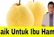 Berbagai Manfaat Buah Pir untuk Ibu Hamil, Dapat Meringankan Gejala Mual