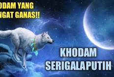 Mau Tahu 2 Weton Sakti yang Disukai Khodam Serigala Hitam menurut Primbon Jawa? Cek Khodam Kamu