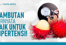 Baca Ini! 10 Manfaat Mengonsumsi Buah Rambutan Bagi Kesehatan, Ternyata Baik untuk Hipertensi