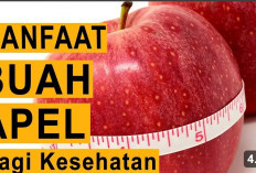 Inilah Alasan Kenapa Buah Apel Dapat Menyehatkan Jantung Menurut Pakar Kesehatan