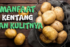 Inilah Manfaat Kentang untuk Anak yang Kurang Diketahui 